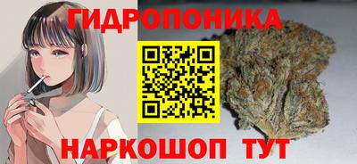 стаф Бузулук