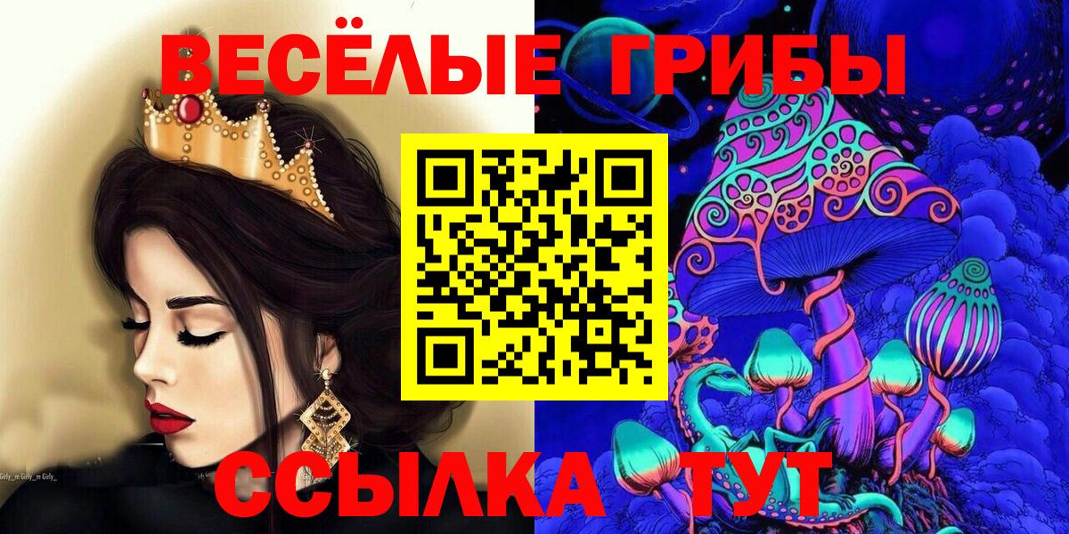 Псилоцибиновые грибы Psilocybine cubensis  Вход с VPN  Псилоцибиновые грибы Magic Shrooms  Карасук 
