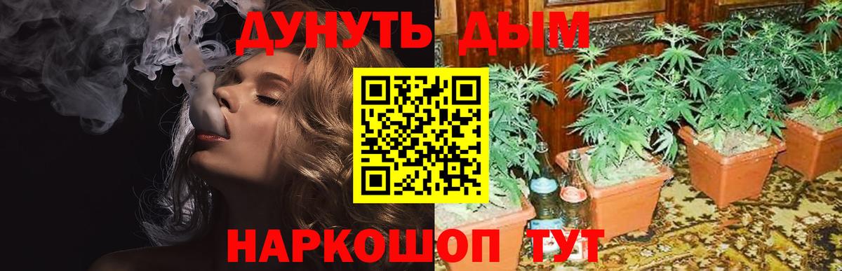 Каннабис ГИДРОПОН  Конопля Ganja  Карасук  Вход с VPN 